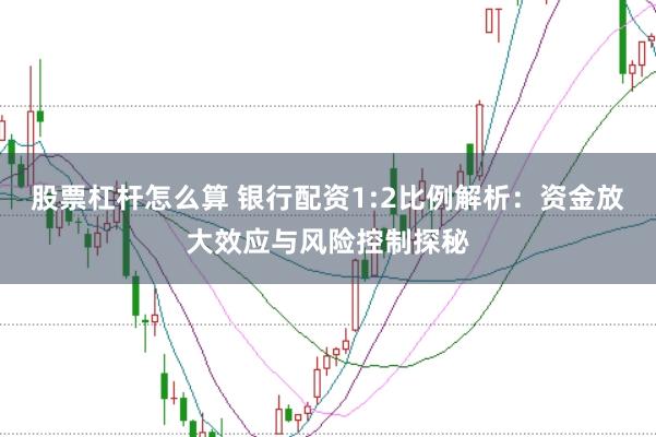股票杠杆怎么算 银行配资1:2比例解析：资金放大效应与风险控制探秘