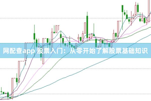网配查app 股票入门：从零开始了解股票基础知识