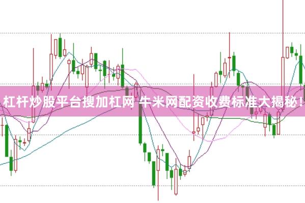 杠杆炒股平台搜加杠网 牛米网配资收费标准大揭秘！