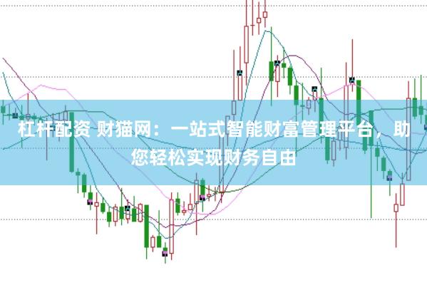 杠杆配资 财猫网：一站式智能财富管理平台，助您轻松实现财务自由