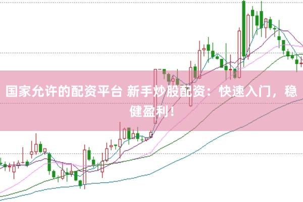 国家允许的配资平台 新手炒股配资：快速入门，稳健盈利！