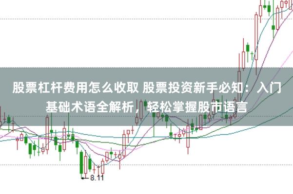 股票杠杆费用怎么收取 股票投资新手必知：入门基础术语全解析，轻松掌握股市语言