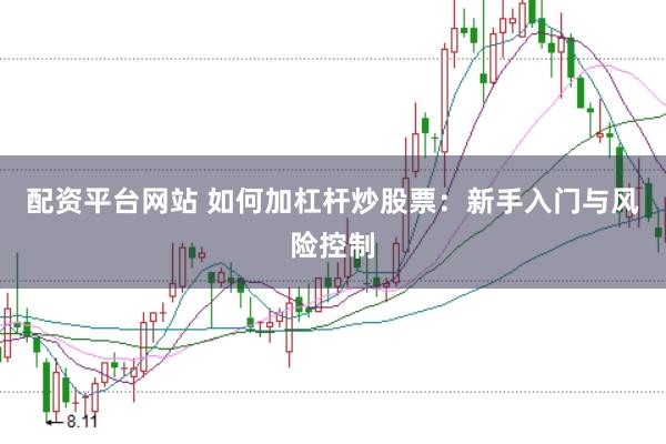 配资平台网站 如何加杠杆炒股票：新手入门与风险控制