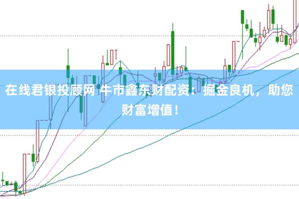 在线君银投顾网 牛市鑫东财配资：掘金良机，助您财富增值！