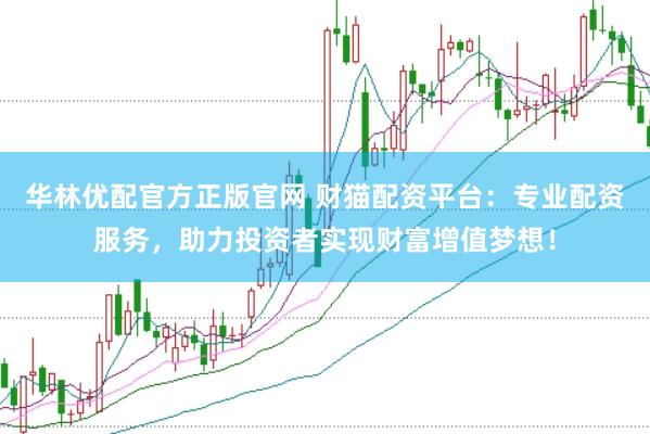 华林优配官方正版官网 财猫配资平台：专业配资服务，助力投资者实现财富增值梦想！