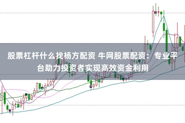 股票杠杆什么找杨方配资 牛网股票配资：专业平台助力投资者实现高效资金利用