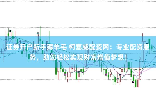 证券开户新手薅羊毛 柯塞威配资网：专业配资服务，助您轻松实现财富增值梦想！