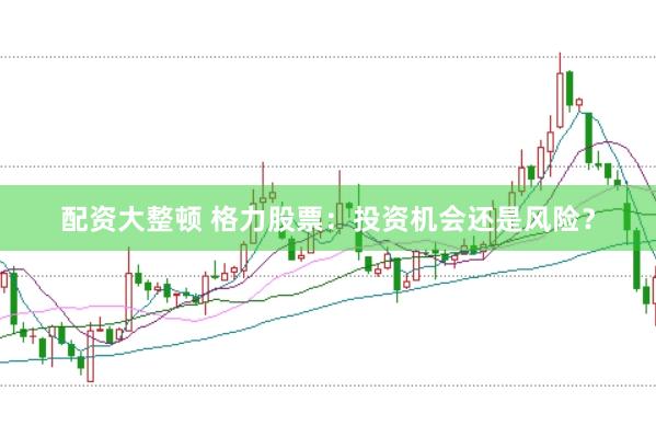 配资大整顿 格力股票：投资机会还是风险？