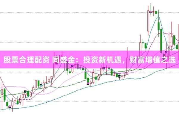股票合理配资 同盛金：投资新机遇，财富增值之选