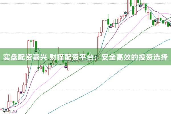 实盘配资嘉兴 财猫配资平台：安全高效的投资选择
