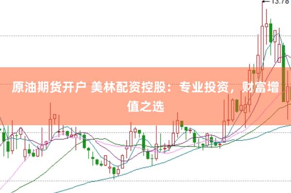 原油期货开户 美林配资控股：专业投资，财富增值之选