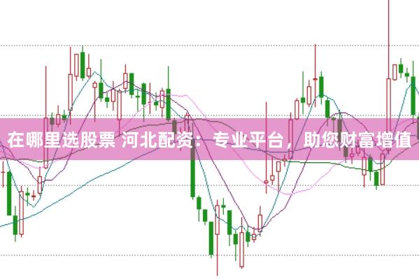 在哪里选股票 河北配资：专业平台，助您财富增值