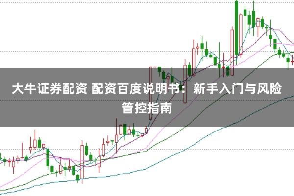 大牛证券配资 配资百度说明书：新手入门与风险管控指南
