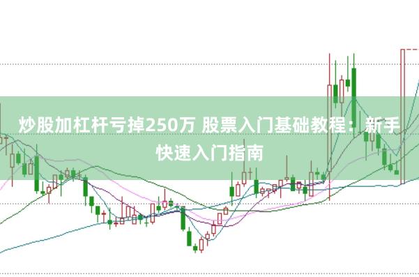 炒股加杠杆亏掉250万 股票入门基础教程：新手快速入门指南
