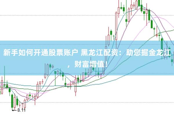 新手如何开通股票账户 黑龙江配资：助您掘金龙江，财富增值！
