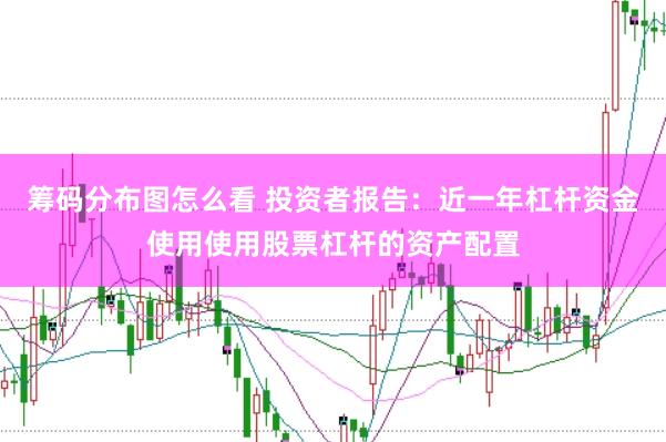筹码分布图怎么看 投资者报告:近一年杠杆资金使用使用股票杠杆的资产配置
