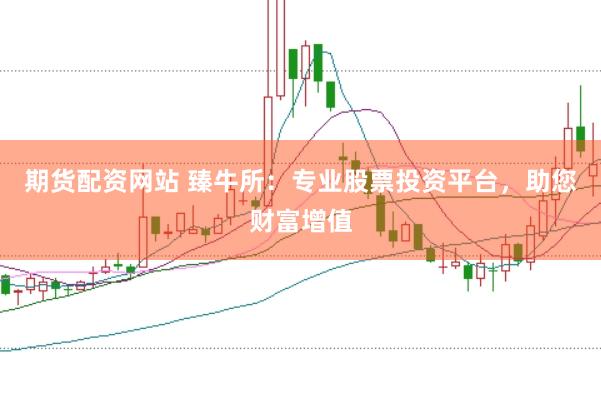 期货配资网站 臻牛所：专业股票投资平台，助您财富增值