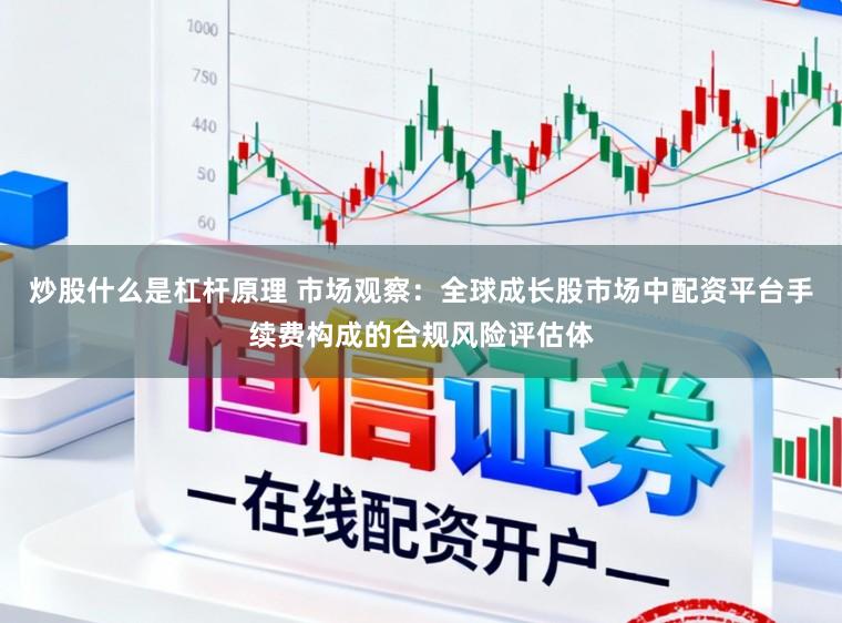 炒股什么是杠杆原理 市场观察：全球成长股市场中配资平台手续费构成的合规风险评估体